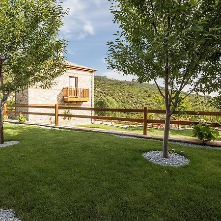 Harmony Deluxe セオロゴス